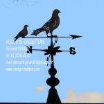 Les Pigeons