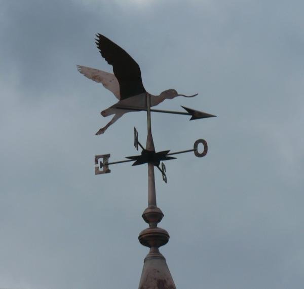 girouette l'avocette